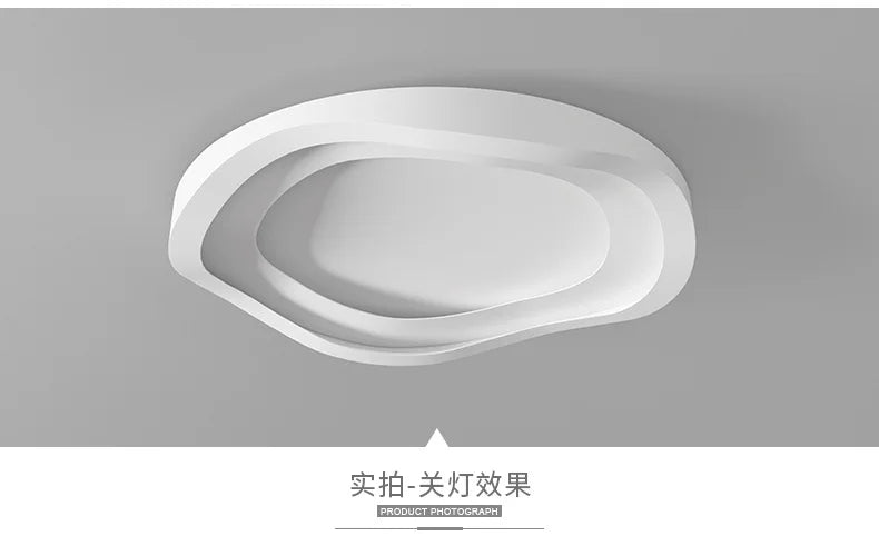 Modern Simplicity Bedroom Ceiling Lamp Creative Personality Room Led Lights European Style Designer Living Room Study Decorative