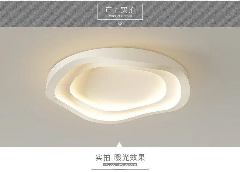 Modern Simplicity Bedroom Ceiling Lamp Creative Personality Room Led Lights European Style Designer Living Room Study Decorative